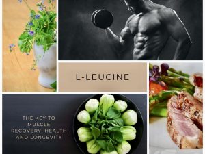 L-Leucine; the best key to muscle recovery, health & longevity in 2023
