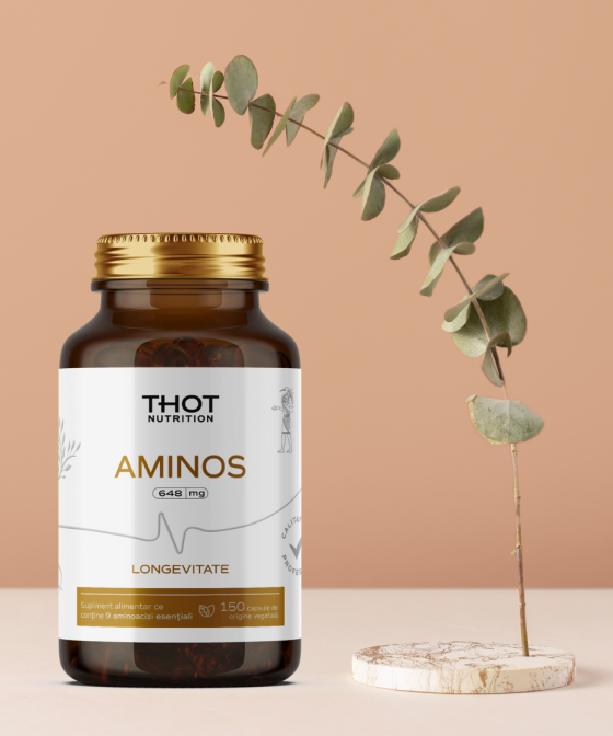 Alternative view of Aminos | Thot Aminos - ANTIAGING 150cps (648mg)